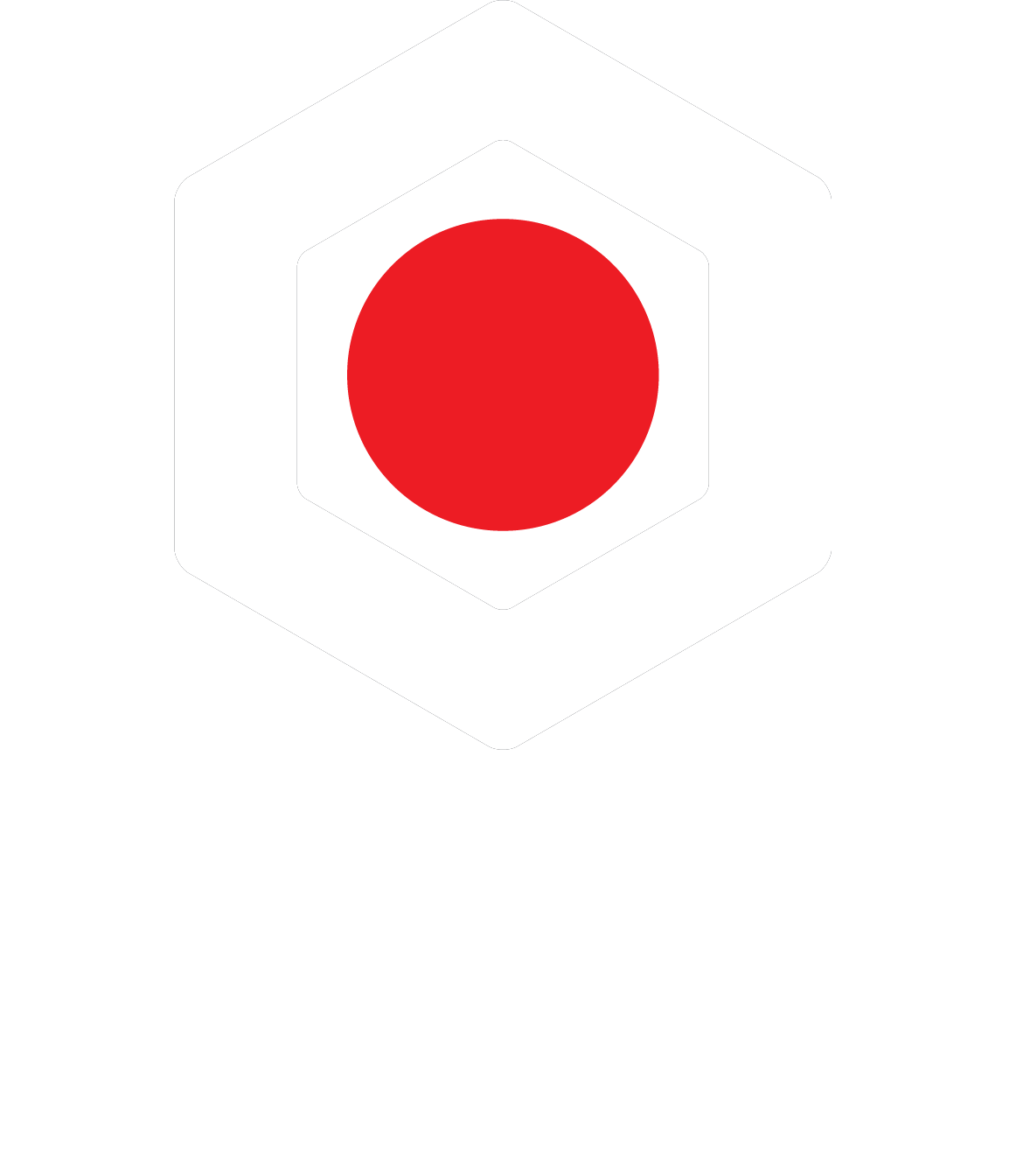 Kameya logo coloured white