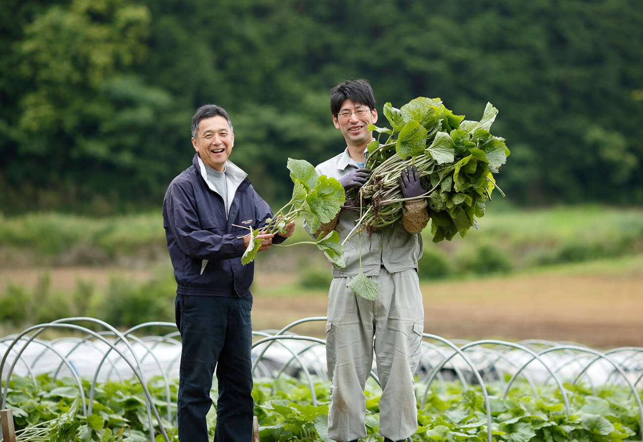 Wasabi Employe's in feild