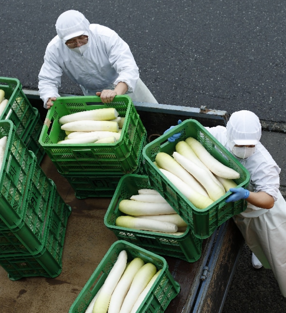 お漬物作りは体力勝負