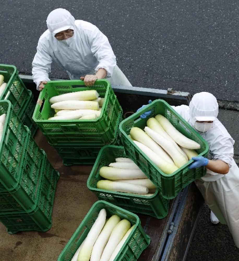 お漬物作りは体力勝負